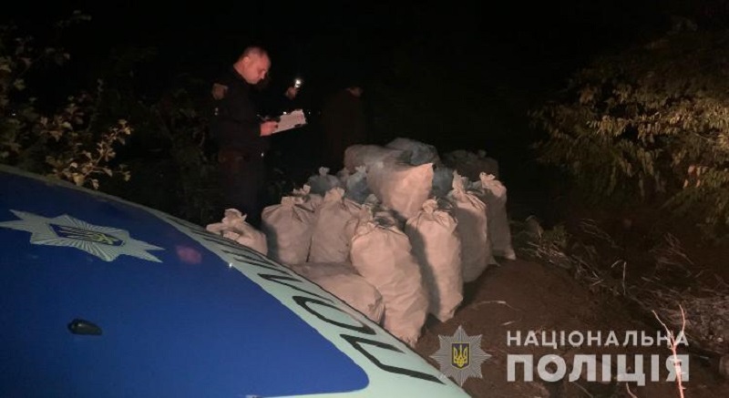 В лесополосе в Одесской области обнаружено 20 тысяч упаковок наркосодержащего препарата