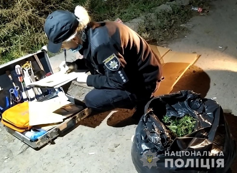 Правоохранители задержали в Одессе двух ренийцев, перевозивших в авто несколько килограммов каннабиса