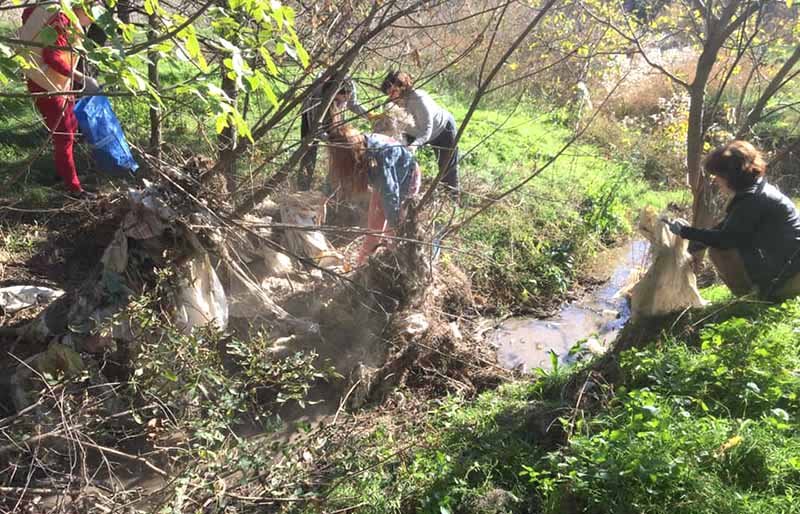 Самый активный в Бессарабии: Болградский район не забывает об экологии и чистоте.