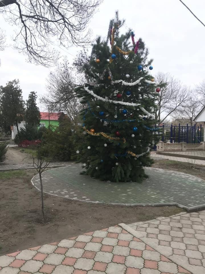 "Давайте скинемся и купим нормальную?" - в Вилково жители недовольны главной новогодней елкой (фотофакт)