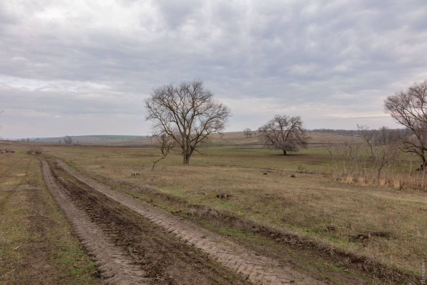 "Поворот, который круто уводит в ад" - о дорогах Бессарабии за трассой Одесса-Рени без цензуры