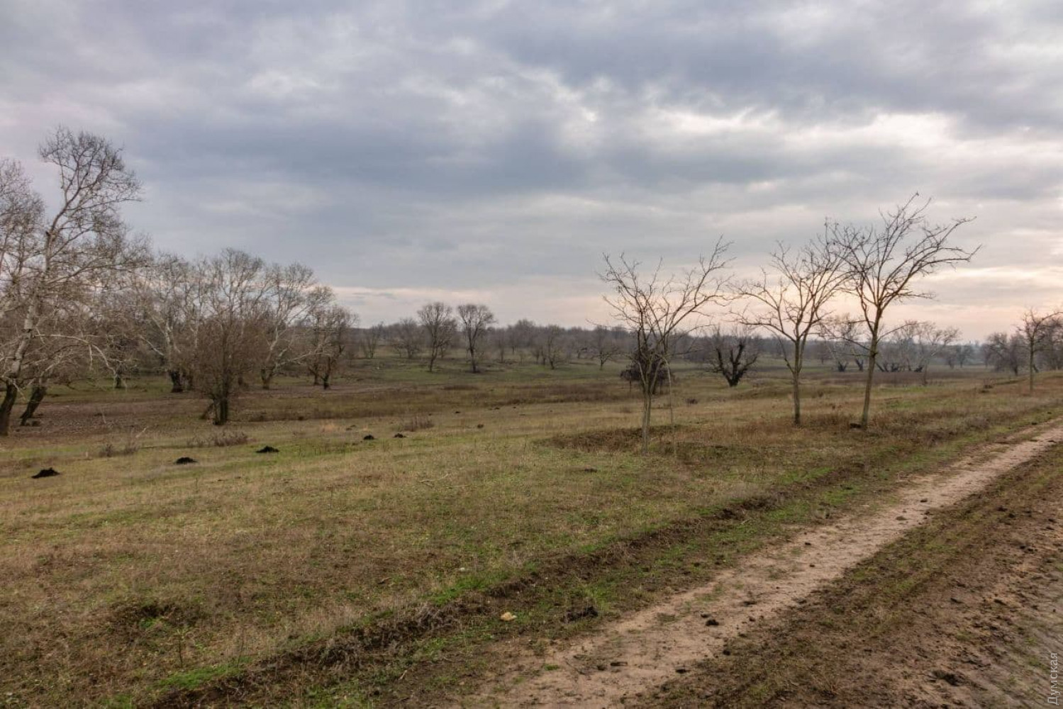 "Поворот, который круто уводит в ад" - о дорогах Бессарабии за трассой Одесса-Рени без цензуры