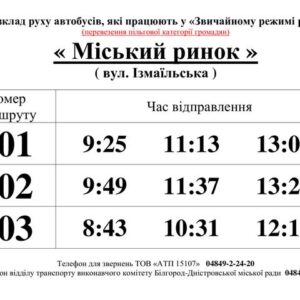В Белгороде-Днестровском льготников будут перевозить в общественном транспорте по графику