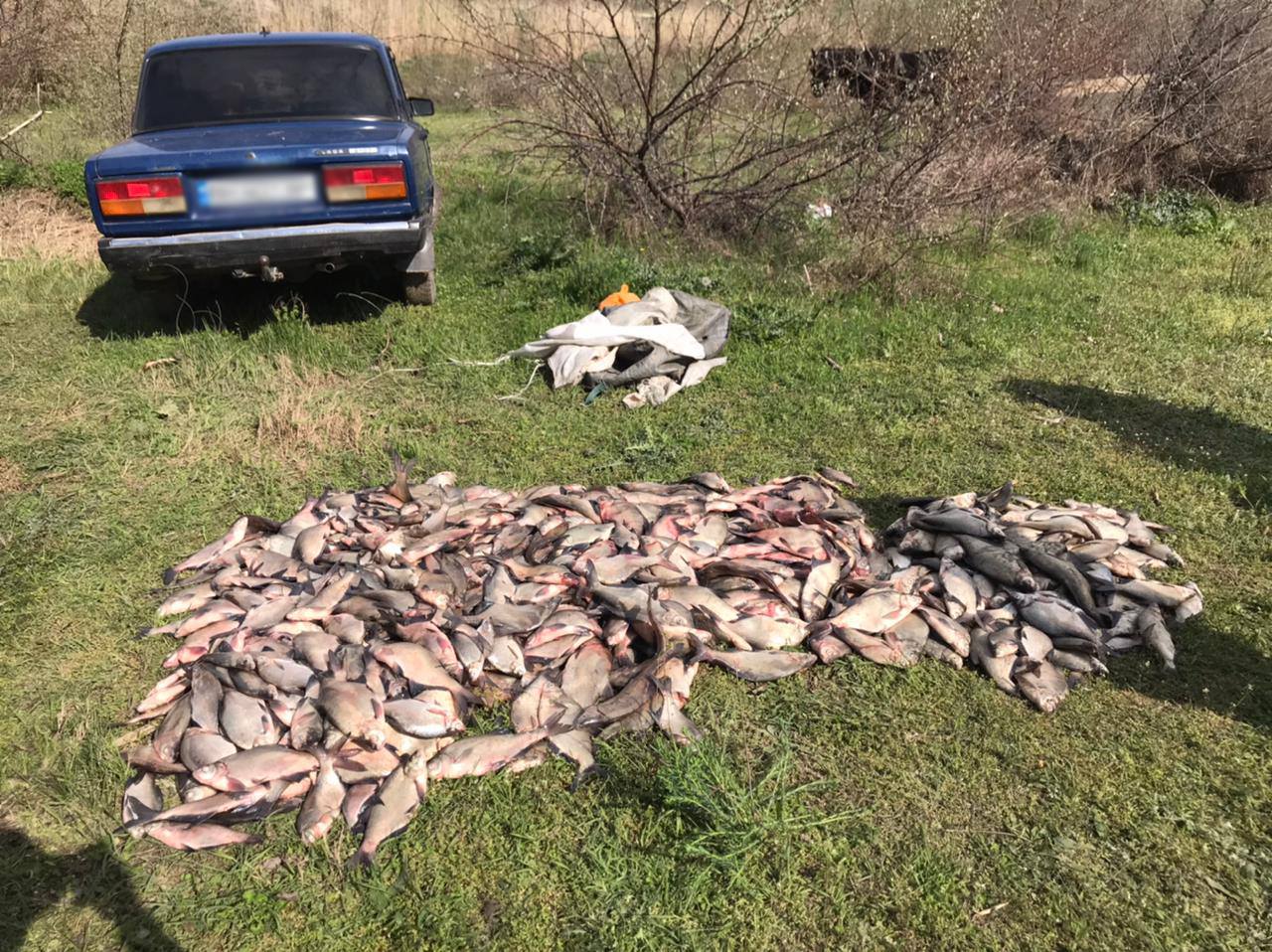 Пограничники Измаильского отряда были задержаны на озере Кагул браконьеров с солидным уловом