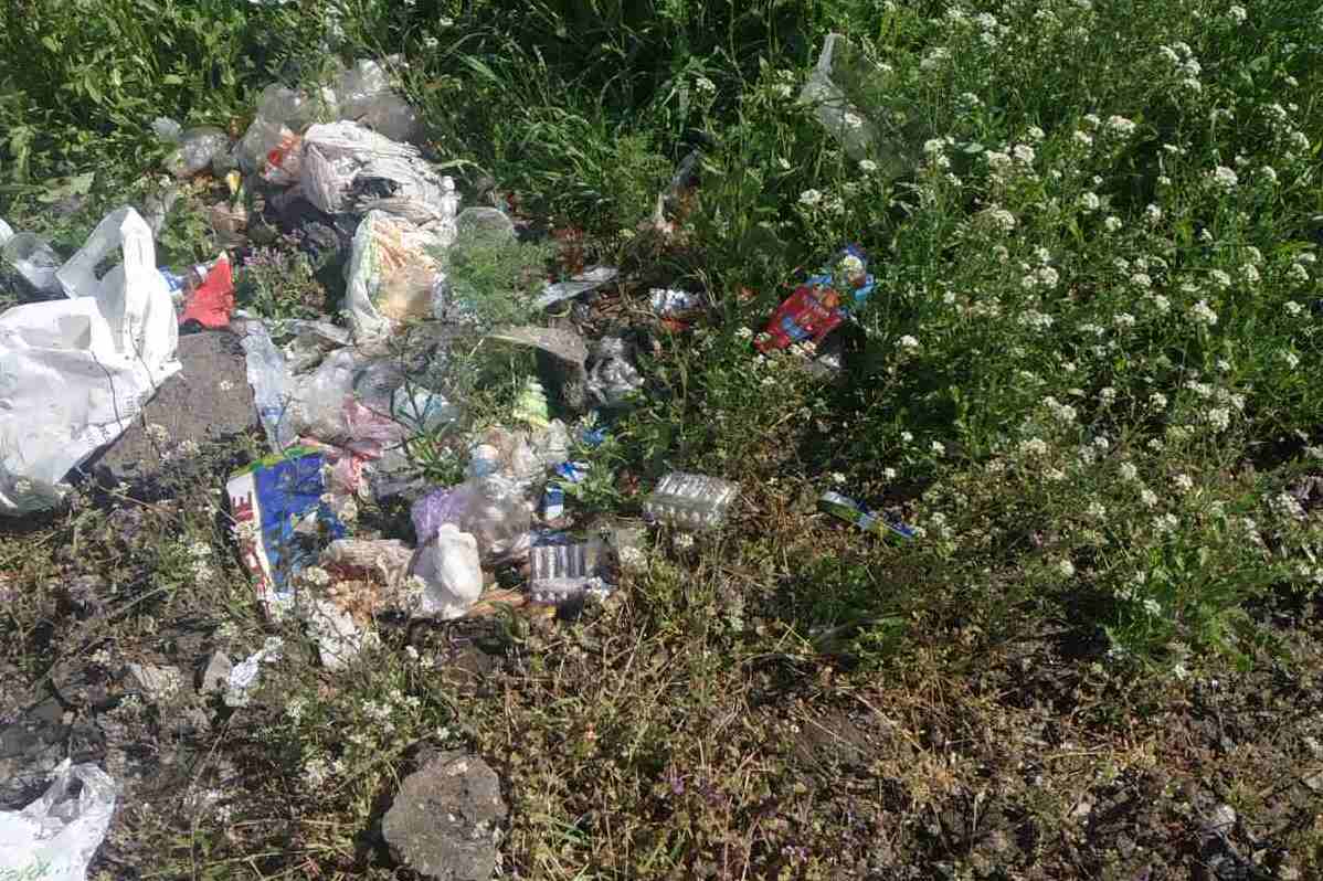 Не прошло и недели: чистые после субботника обочины за пределами Килии вновь усыпаны мусором