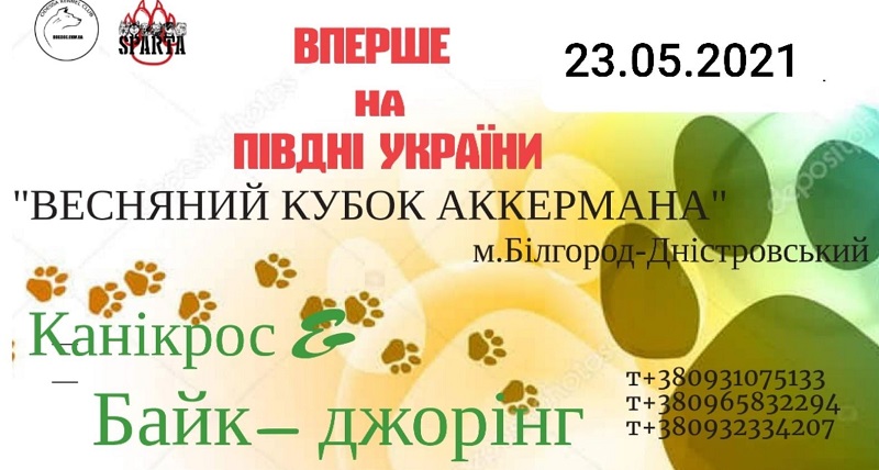 Впервые на юге Украины: в Аккермане пройдут соревнования по каникроссу и байк-джорингу