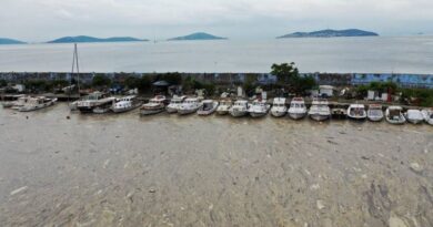 В Турции морская слизь покрыла берега Мраморного моря и угрожает Черному В Турции морская слизь покрыла берега Мраморного моря и угрожает Черному