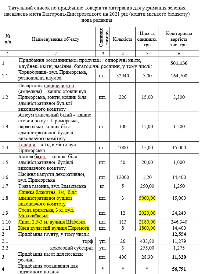 Возле мэрии Аккермана планируют посадить голубые ели по 5 тыс. грн: во сколько обойдется "омоложение" зеленых насаждений города