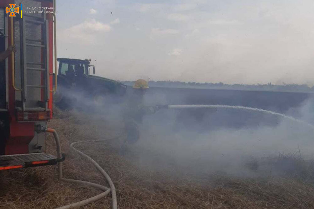 В Одесской области огонь уничтожил 2 гектара урожая пшеницы: причиной пожара считают удар молнии