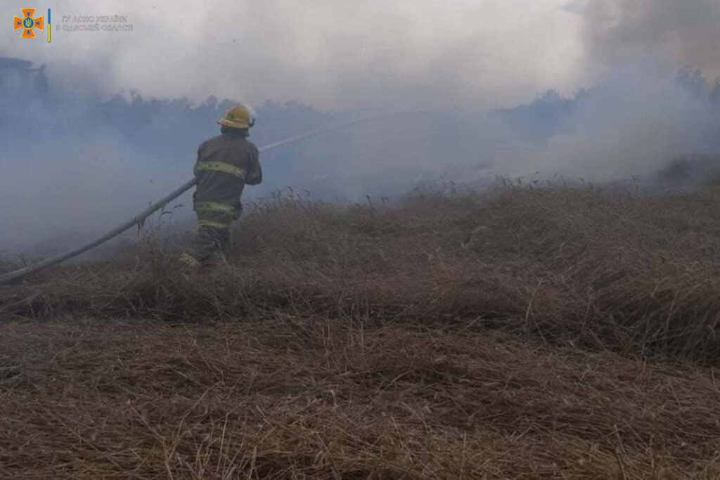 В Одесской области огонь уничтожил 2 гектара урожая пшеницы: причиной пожара считают удар молнии