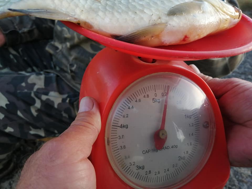 Размерами не вышли: открытие рыбалки на Тарутинском пруду перенесли на следующий год