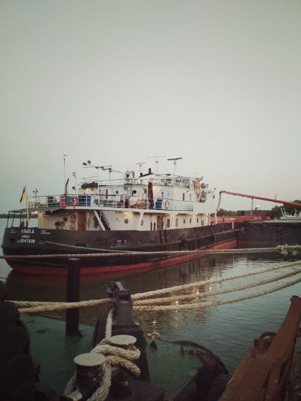 В Усть-Дунайском порту погружено первое судно с зерном нового урожая