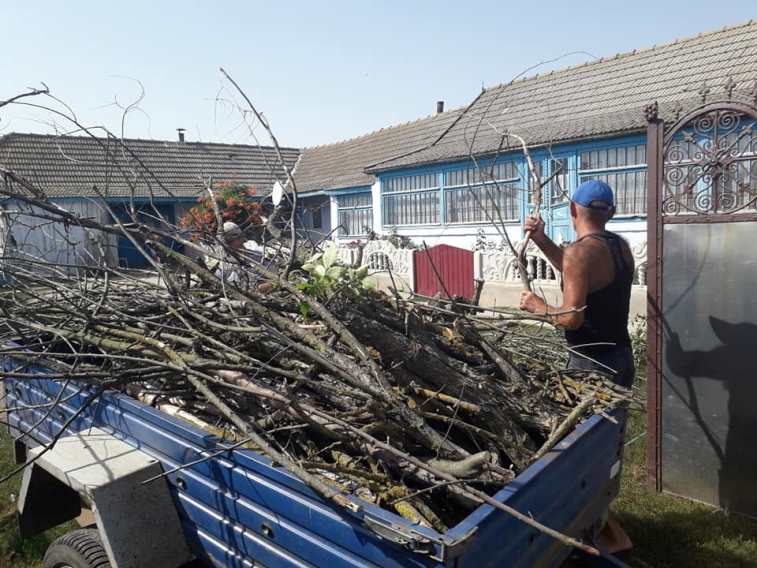 Нуждающимся жителям сел Арцизской общины бесплатно раздадут дрова из спиленного сухостоя.