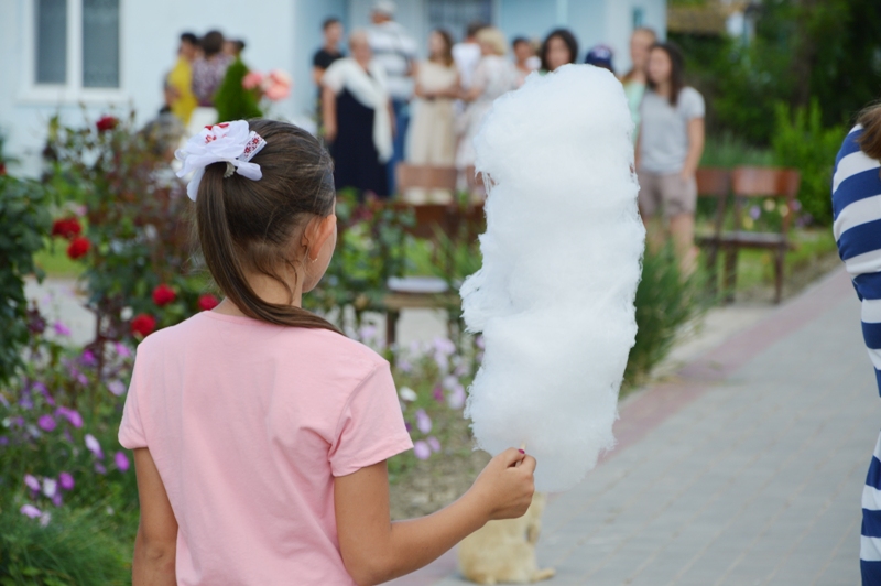 Бессарабская "клубничная столица" Украины отгуляла 126-й День рождения