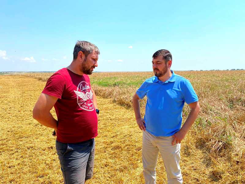 В Болградском районе добились рекордной урожайности ранних зерновых