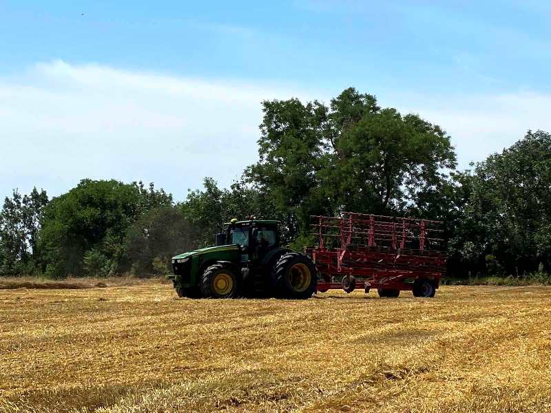 В Болградском районе добились рекордной урожайности ранних зерновых.