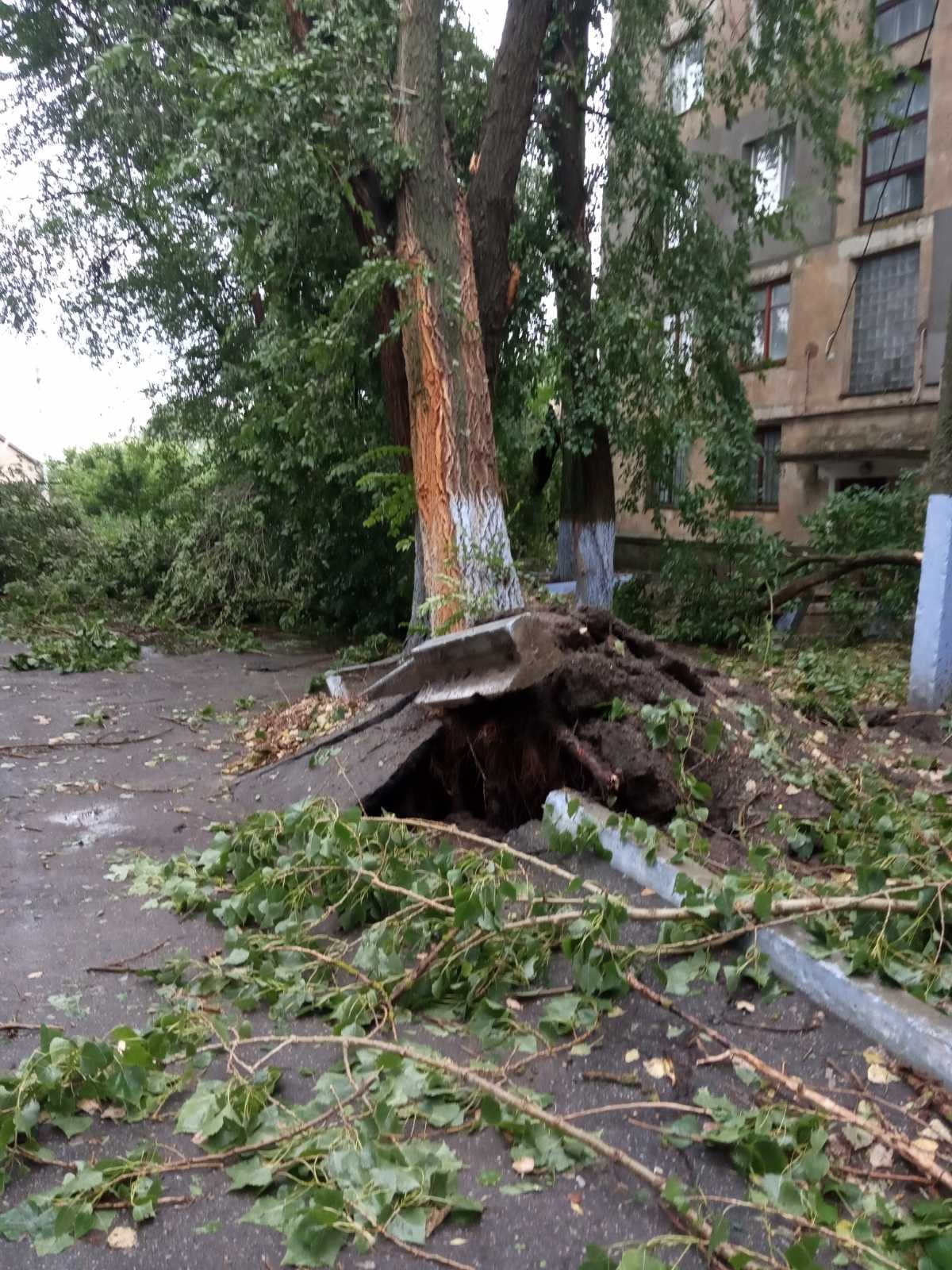 Сорванные крыши и большие убытки: в бывшем Тарутинском районе пронесся ураган с ливнем и градом