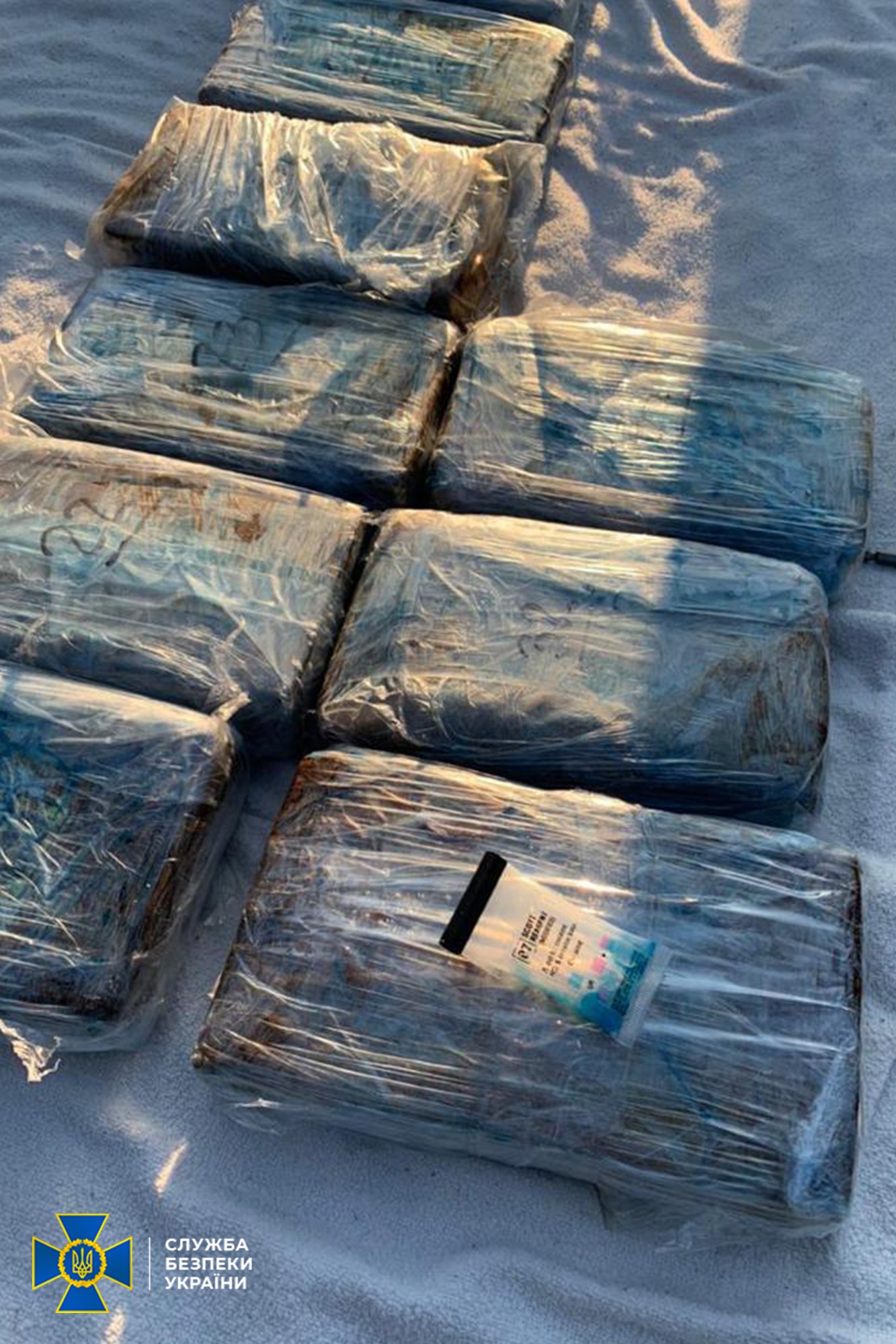 В Одессе задержали членов всемирной преступной организации «Ндрангета» - из Латинской Америки в Евросоюз переправляли кокаин через Украину