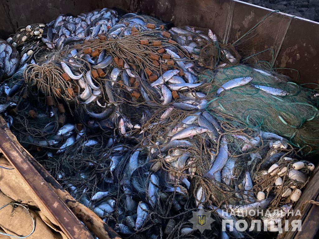 В "Тузловских лиманах" полиция задержала двух браконьеров с 240 кг кефали