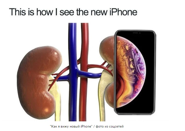 В соцсетях высмеяли новый iPhone 13: подборка самых ярких шуток и мемов