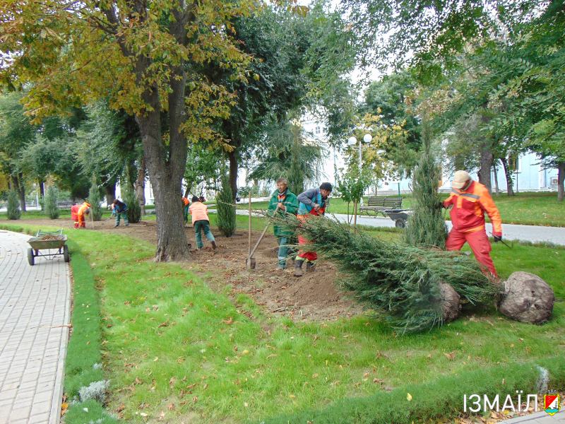 В парках и скверах Измаила проводится осенняя высадка деревьев
