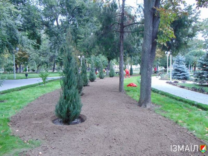 В парках и скверах Измаила проводится осенняя высадка деревьев