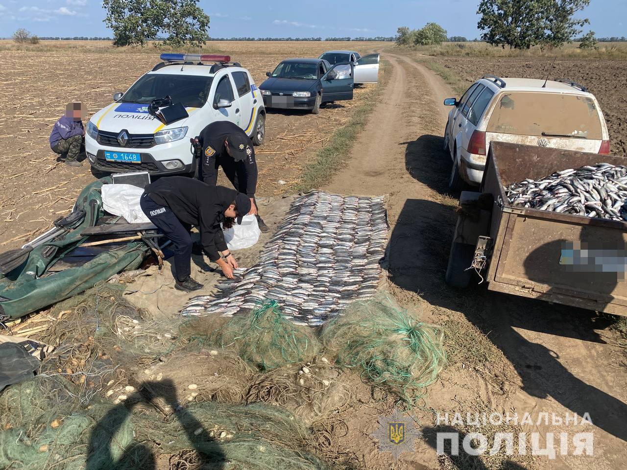 В Тузловских лиманах задержали браконьеров с уловом кефали почти на 2 млн гривен