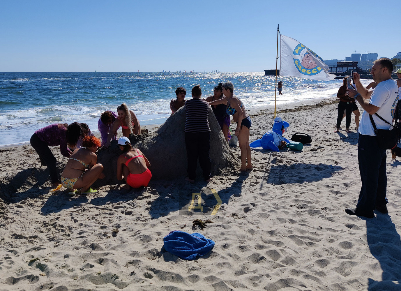В Одессе на центральном пляже появился самый большой морж в Украине