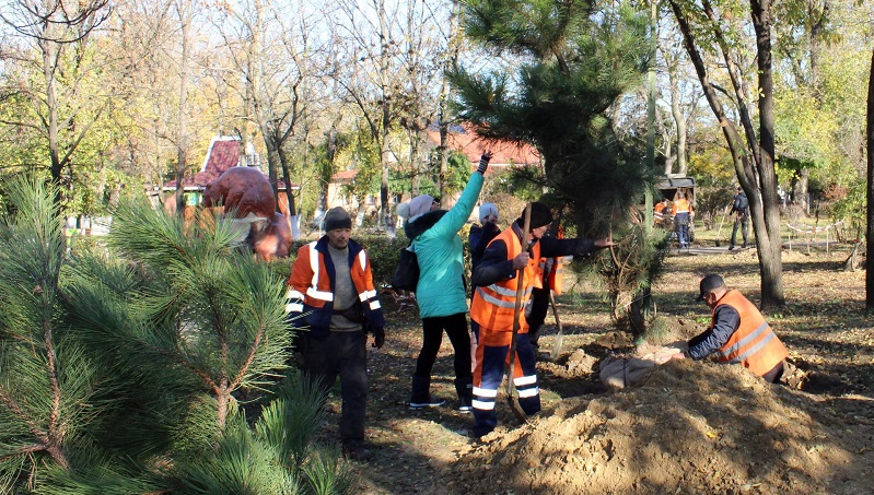 Парк Победы и сквер Воинской Славы в Белгороде-Днестровском украсили соснами