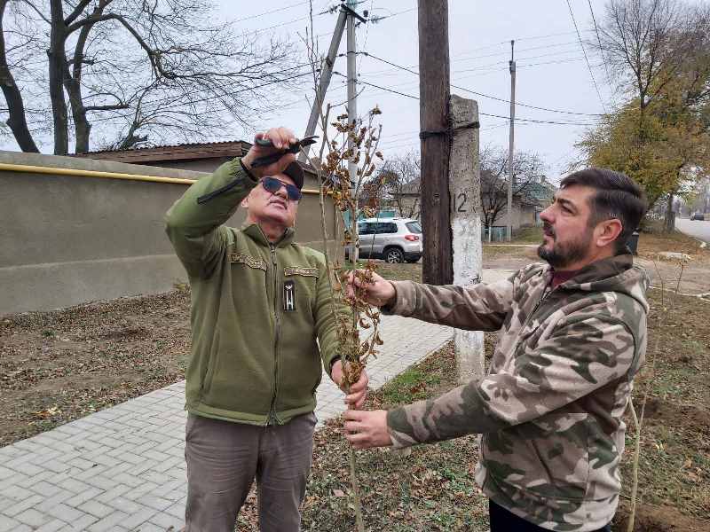 "Зеленая страна" в Болграде: на территории ЦРБ высадили десятки туй и гибискусов