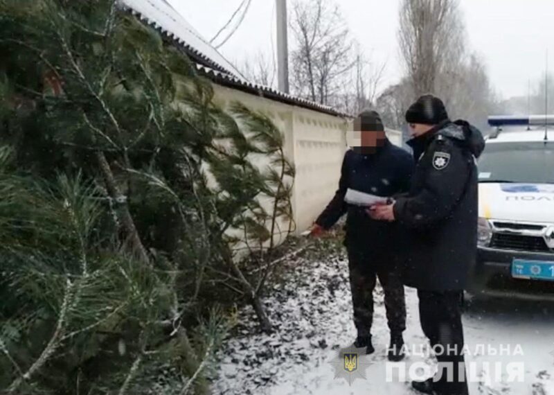В Одесской области проходят полицейские рейды по местам торговли хвойными деревьями