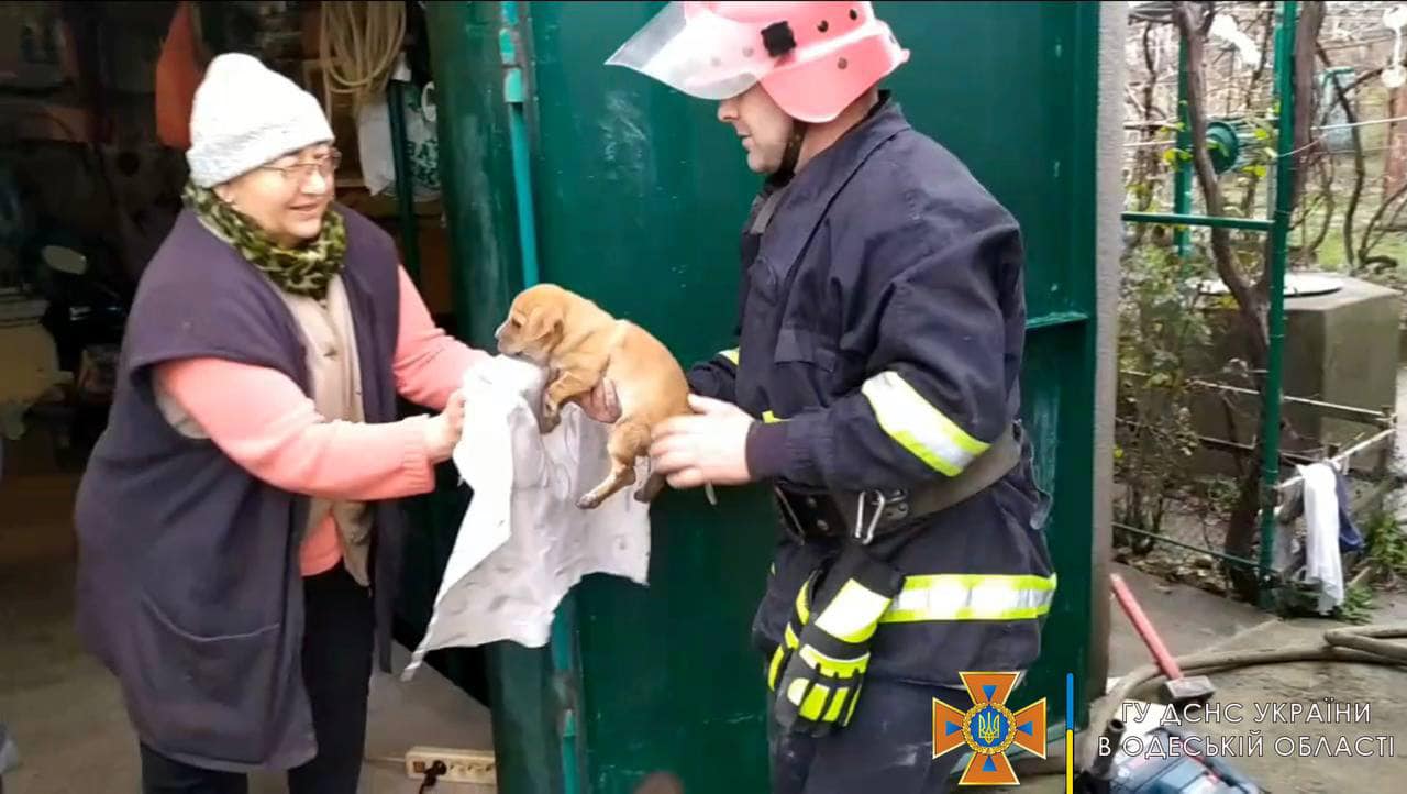 Освобождение пушистого Боси: аккерманские спасатели пришли на помощь щенку, застрявшему в сливной трубе