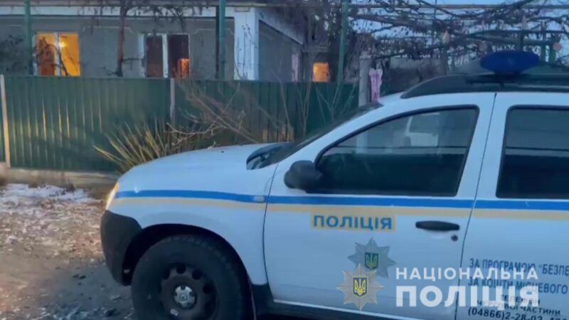 В Одесской области психически больной сын забил мать до смерти