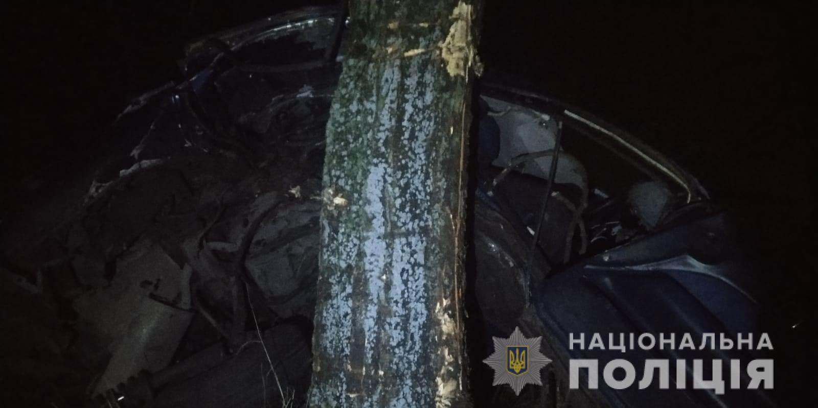 Влетел в дерево и погиб на месте: в полиции выясняют подробности смертельного ДТП в Белгород-Днестровском районе