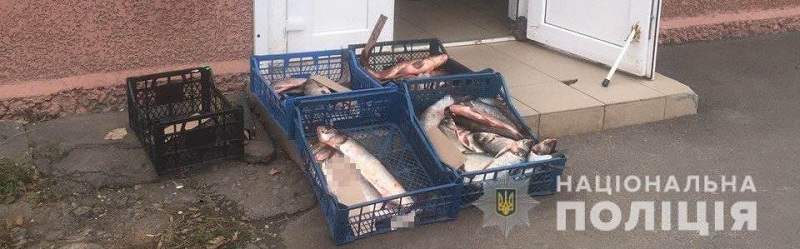 Измаильчанку привлекут к ответственности за незаконную торговлю рыбой