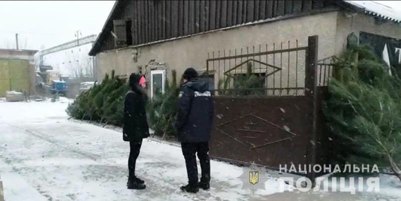 В Одесской области проходят полицейские рейды по местам торговли хвойными деревьями