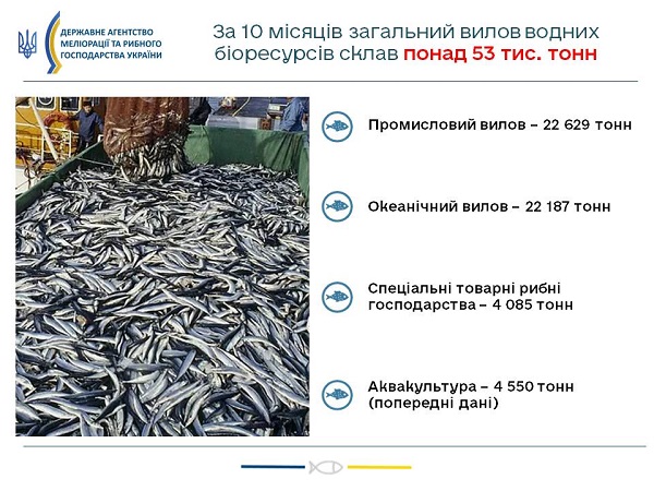 Официально: в Дунае выловлено на 50% больше рыбы. Улов в Чёрном и Азовском морях снизился на четверть