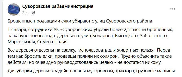 Чтобы никому не досталось: в Одессе продавцы ёлок облили 2500 непроданных деревьев солярой