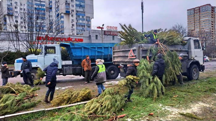 Чтобы никому не досталось: в Одессе продавцы ёлок облили 2500 непроданных деревьев солярой