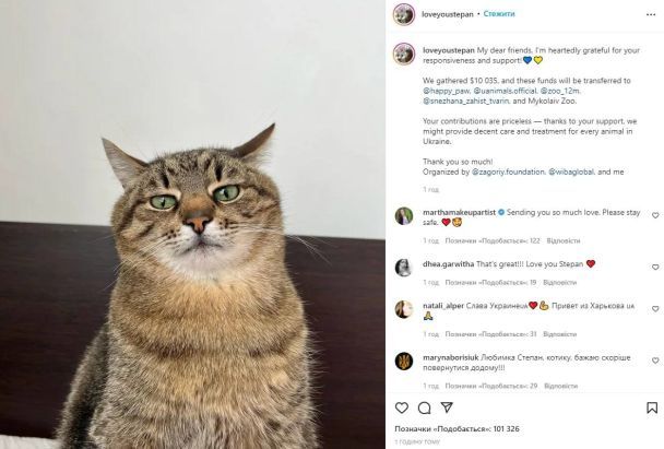 Не сидит сложа лапы: мегапопулярный инстаграм-кот Степан из Харькова собрал средства для животных Украины