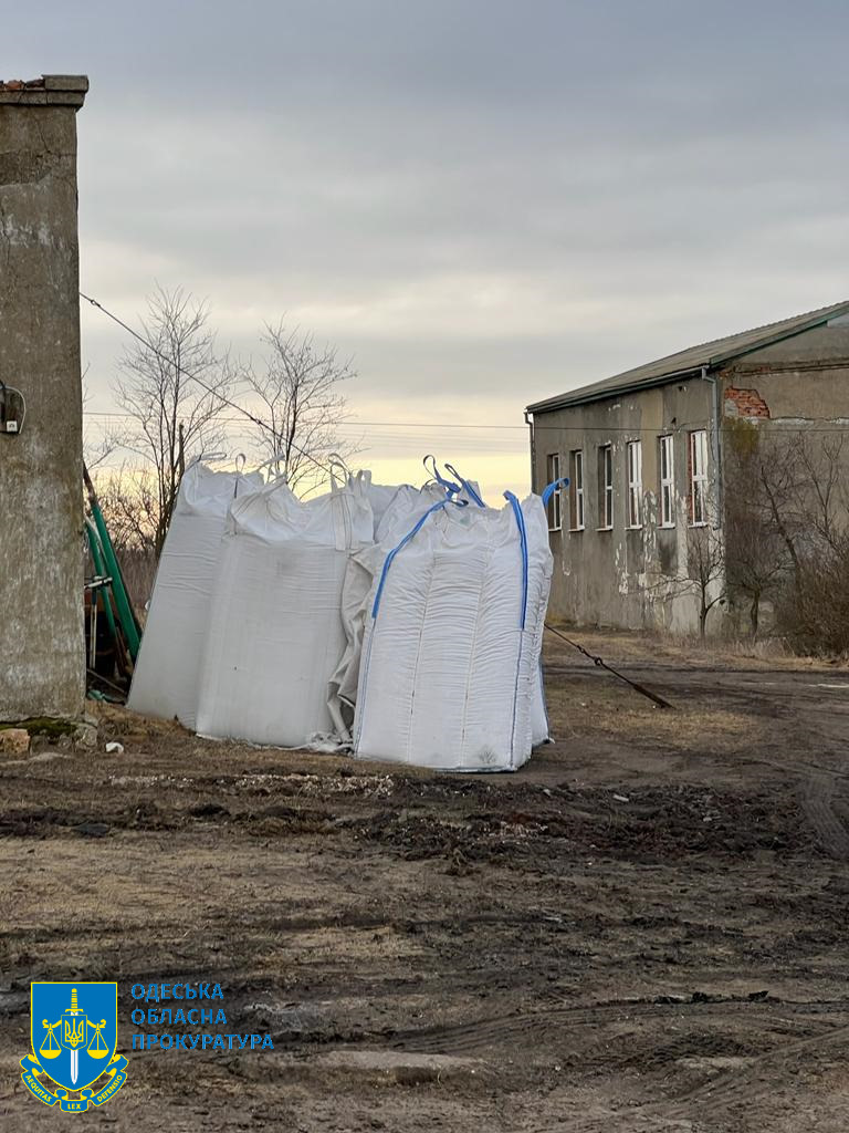 Школа и гимназия в Белгород-Днестровском районе остались без спортплощадок: подрядчик и чиновница сельсовета присвоили 3,5 млн грн субвенции