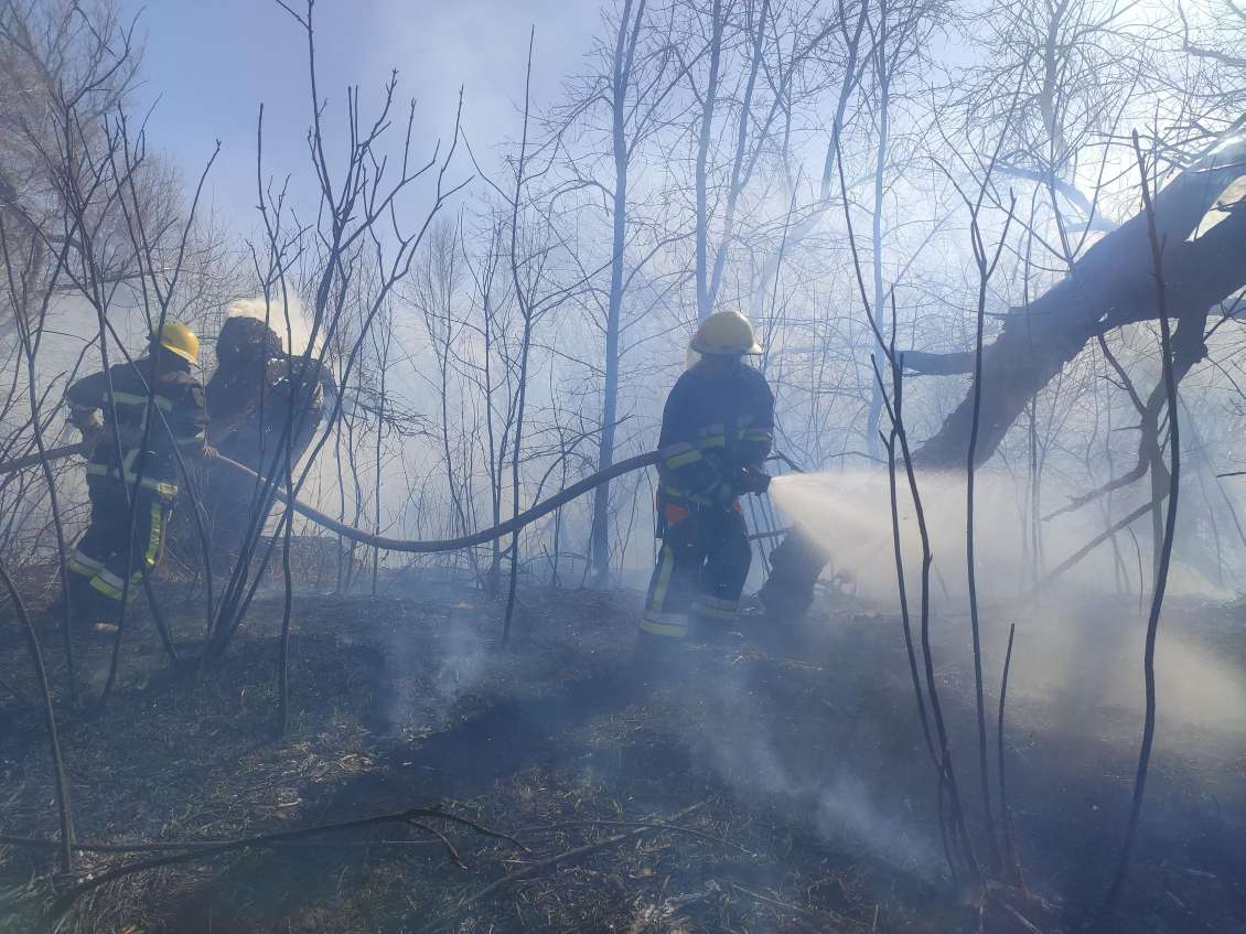 В Килийском подразделении ГСЧС рассказали, сколько пожаров случилось из-за поджога сухой травы