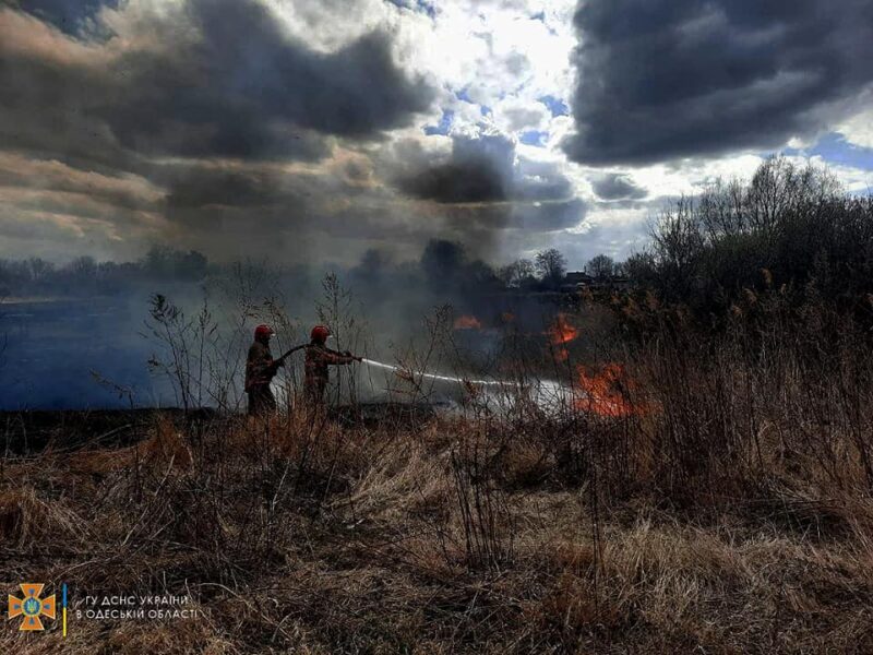 Пожар в Дунайском биосферном заповеднике – выгорело 4 га территории