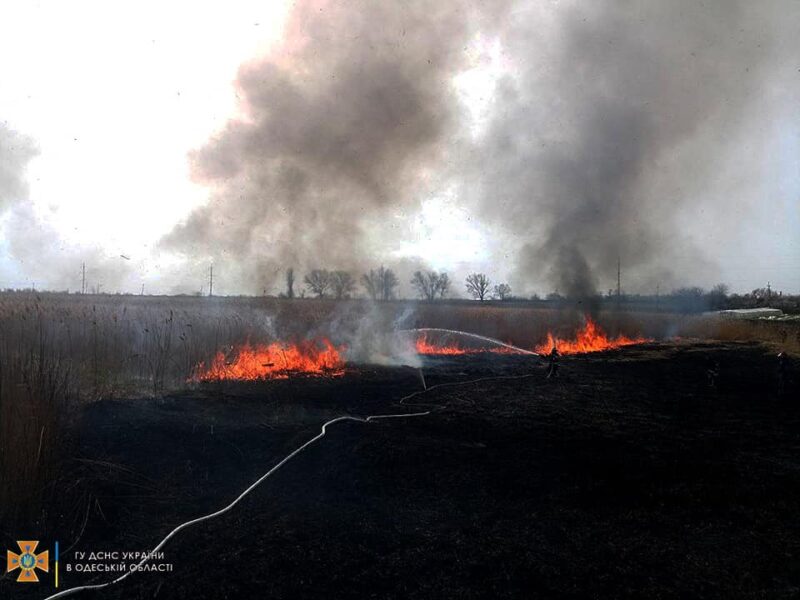 Пожар в Дунайском биосферном заповеднике - выгорело 4 га территории