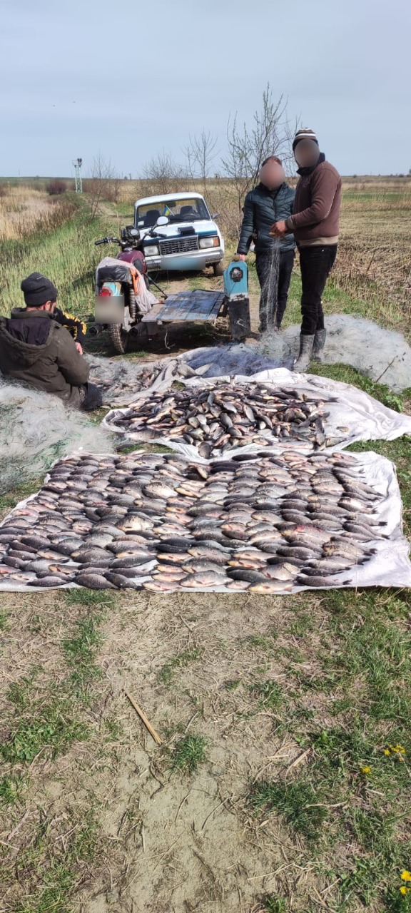 Улов более чем на 2 млн гривен: двое жителей Ренийской ОТГ в период нереста сетями вылавливали рыбу и раков из озера Катрал