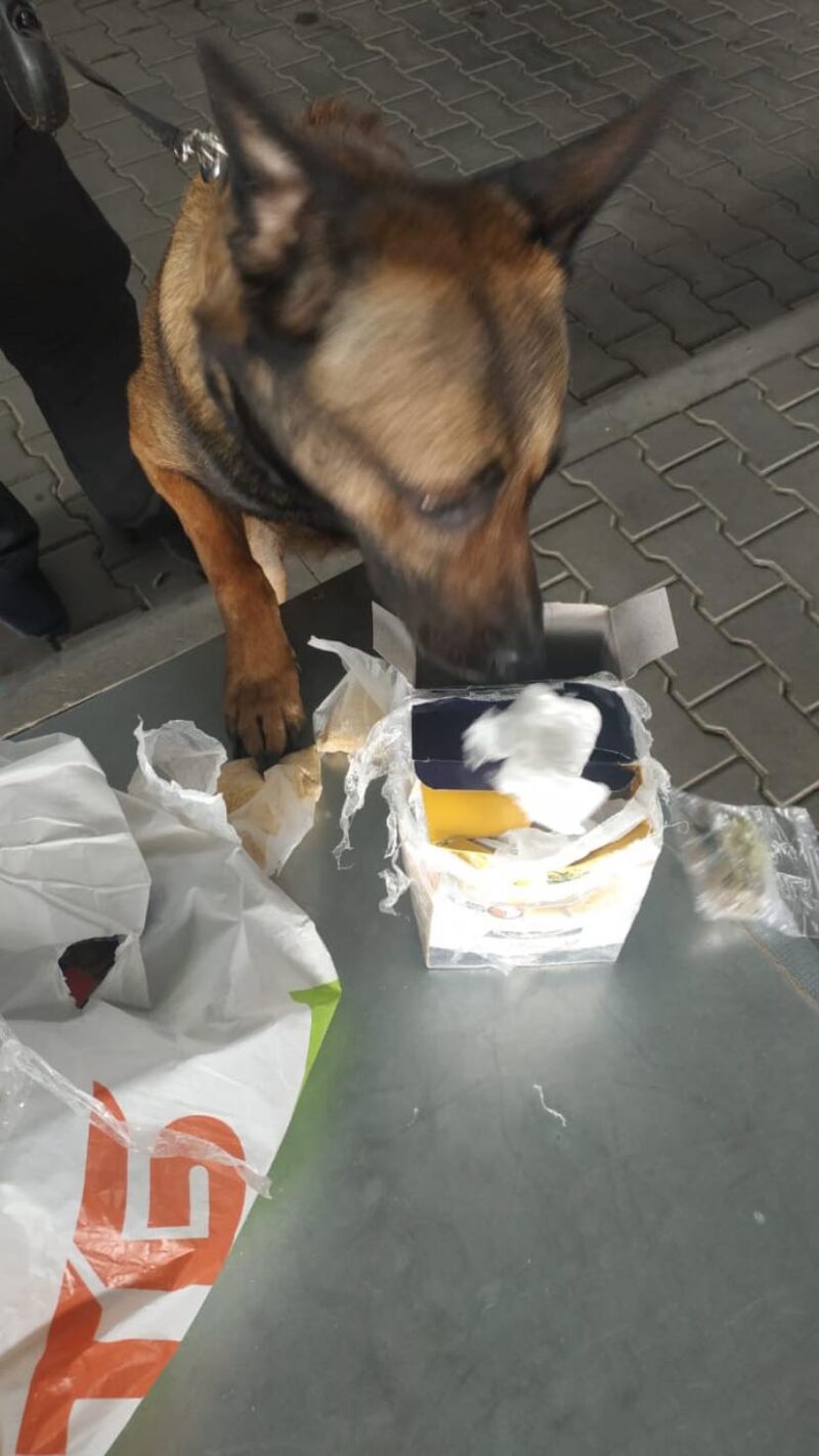 Измаильский р-н: служебный пёс Пират в ПП "Орловка" учуял наркотики в пакете с продуктами