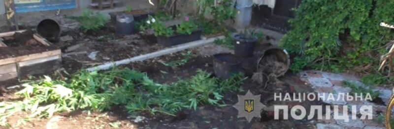 Операция «Мак» в Одесской области продолжается - на этот раз на наркопреступлениях погорели трое жителей Бессарабии