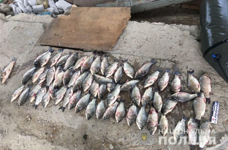 Житель Болграда в период нерестового запрета наловил в Ялпуге рыбы и раков на 110 тыс. грн - его ждет суд
