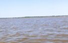 Придунайские озера на грани гибели. Спасти водоемы можно за 14 млн грн, но денег – нет