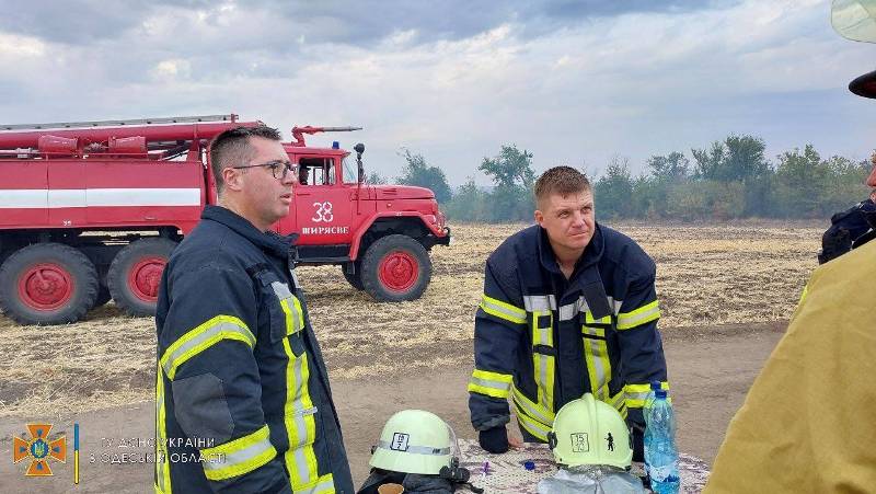 Маштабна пожежа знищила 28 га лісу на Одещині
